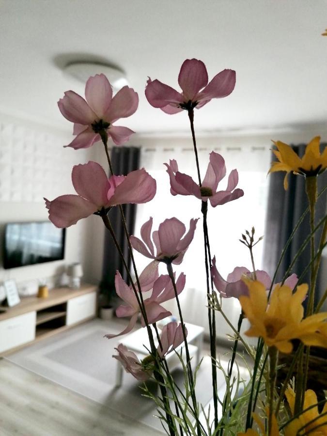 Sweet Central Apartment ,In The City Center 埃格尔 外观 照片